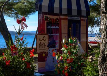 Božićna drvca iz Crikvenice traže novi dom – preuzmite ih besplatno