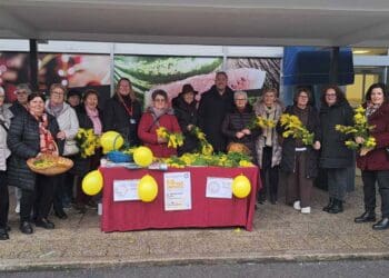 Udruga umirovljenika Crikvenice i Vinodola uspješno provela humanitarnu akciju povodom 19. Dana mimoza