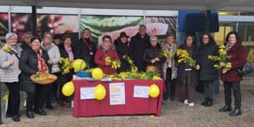 Udruga umirovljenika Crikvenice i Vinodola uspješno provela humanitarnu akciju povodom 19. Dana mimoza