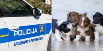 26-godišnjakinja u Crikvenici oglasila prodaju štenaca, uzela novce i nestala bez traga