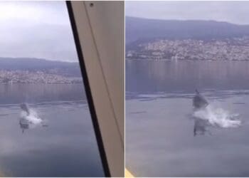 Prekrasan prizor: Dupin snimljen na potezu između Crikvenice i Šila