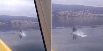 Prekrasan prizor: Dupin snimljen na potezu između Crikvenice i Šila