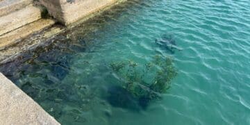 Ne prestaje vandalizam na gradskom plivalištu