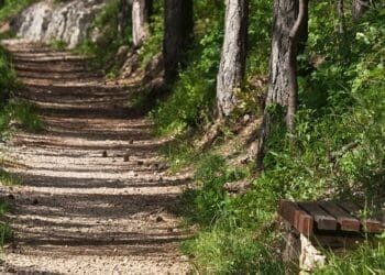 Na Ljubavnoj cestici počinju radovi, šetači pozvani na oprez