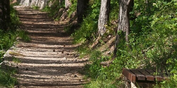 Na Ljubavnoj cestici počinju radovi, šetači pozvani na oprez