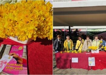 Žuti cvijet nade okupio Crikveničane koji su podržali borbu protiv raka dojke