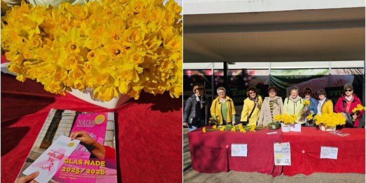 Žuti cvijet nade okupio Crikveničane koji su podržali borbu protiv raka dojke