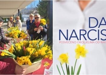 U petak Crikvenica obilježava Dan narcisa: uzmite stručak cvijeća i podržite humanitarnu akciju