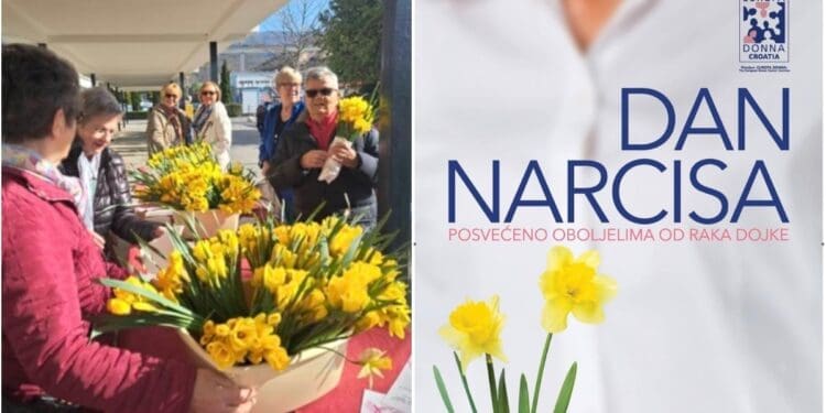 U petak Crikvenica obilježava Dan narcisa: uzmite stručak cvijeća i podržite humanitarnu akciju