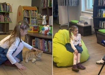 Crikvenički knjižni mačak Car Edgar osvojio srca čitatelja i završio na televiziji