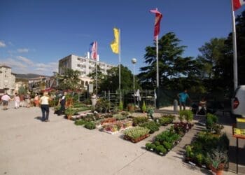 Evo što sve Crikvenica priprema za zdraviji život građana u 2026.