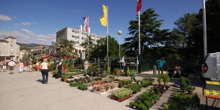 Evo što sve Crikvenica priprema za zdraviji život građana u 2026.