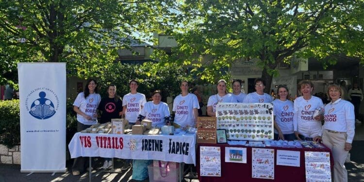 Crikvenica dala šapu: Uspješna humanitarna akcija za mačji azil