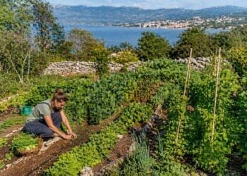 Dođite u Bribir na zadnje predavanje iz ciklusa “Uzgoj povrća kao motivirajuće bio vrtlarstvo”