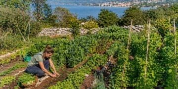 Dođite u Bribir na zadnje predavanje iz ciklusa “Uzgoj povrća kao motivirajuće bio vrtlarstvo”