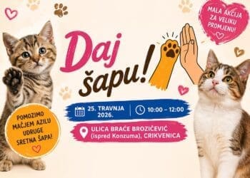 Subota za dobra djela: Humanitarna akcija “Daj šapu” za azil mačaka u Crikvenici