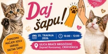 Subota za dobra djela: Humanitarna akcija “Daj šapu” za azil mačaka u Crikvenici