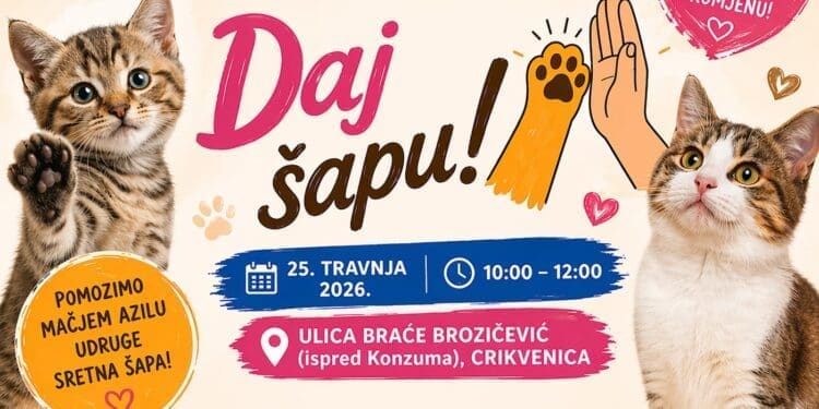 Subota za dobra djela: Humanitarna akcija “Daj šapu” za azil mačaka u Crikvenici