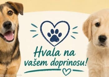 Učenici i roditelji iz Crikvenice prikupili stotine eura za pse spašene u hororu na Učki
