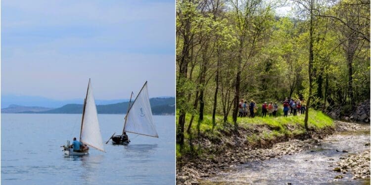 Tradicija i aktivni vikend u Crikvenici: Festival škampa uz regatu, nordijsko hodanje i dječji nogomet