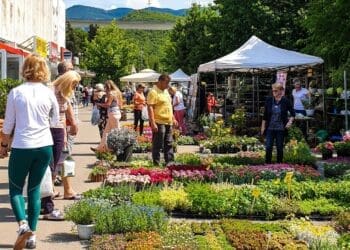 Od danas do subote održava se Festival cvijeća ispred gradske tržnice u Crikvenici