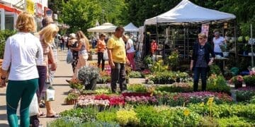 Od danas do subote održava se Festival cvijeća ispred gradske tržnice u Crikvenici
