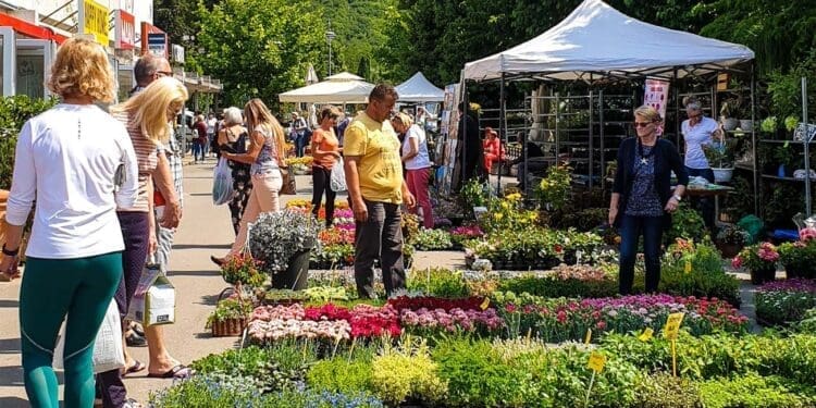 Od danas do subote održava se Festival cvijeća ispred gradske tržnice u Crikvenici
