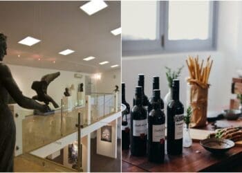 Oslikajte vazu, posadite kaktus i uživajte uz čašu vina: U Crikvenici stiže Art & Wine radionica
