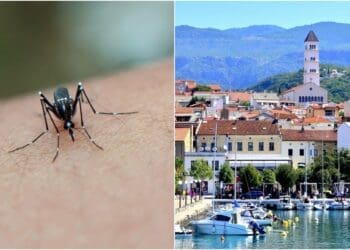U Crikvenici najavljeno noćno ‘zamagljivanje’ protiv komaraca: Evo u kojim terminima