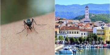 U Crikvenici najavljeno noćno ‘zamagljivanje’ protiv komaraca: Evo u kojim terminima