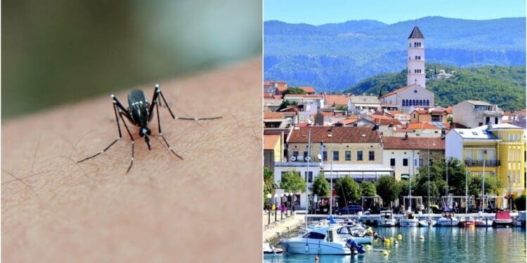 U Crikvenici najavljeno noćno ‘zamagljivanje’ protiv komaraca: Evo u kojim terminima