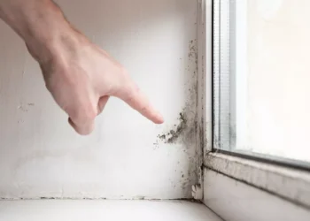 Kako je Livio iz Marčane uklonio vlagu i plijesan u svom domu i apartmanu