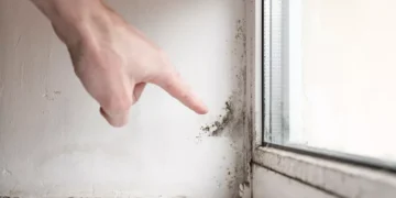 Kako je Livio iz Marčane uklonio vlagu i plijesan u svom domu i apartmanu