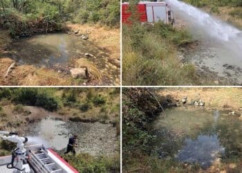 U jeku velikih vrućina i suše lovci i crikvenički vatrogasci osiguravaju vodu za divljač