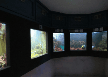 Jeftinije ulaznice u Aquarium Crikvenica: Snižena cijena za odrasle