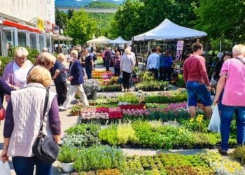 Kreće četverodnevni Festival cvijeća ispred Gradske tržnice u Crikvenici