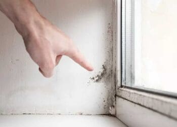 Jesen u domu donosi i nevidljivog gosta – višak vlage